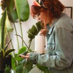 Consejos prácticos para mantener plantas de interior saludables y vibrantes